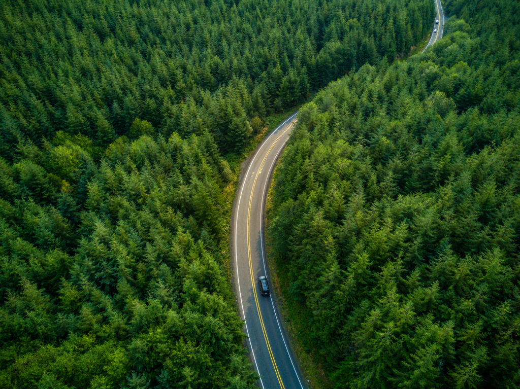 Voiture roulant dans une route de forêt