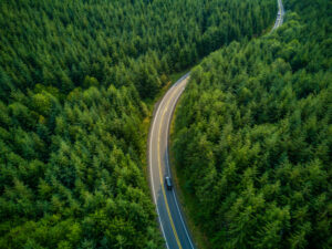 Voiture roulant dans une route de forêt